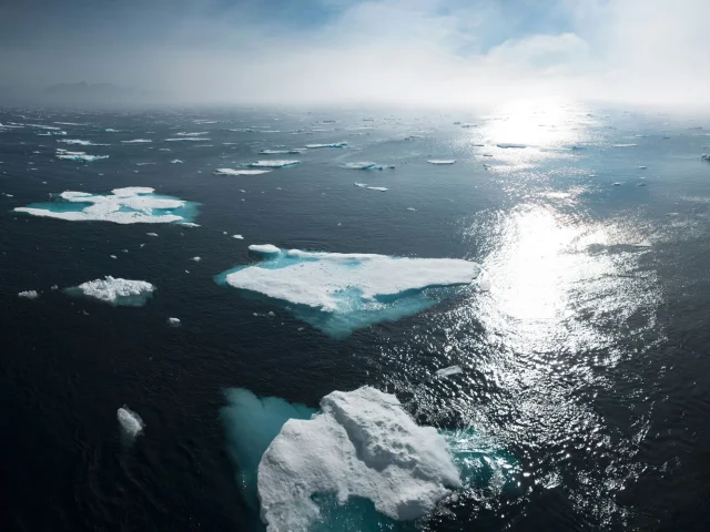 Fresque du climat