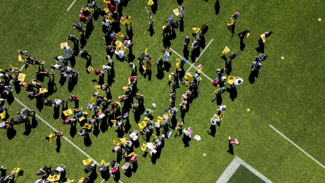Journée Jaune et Noir - Deflandre