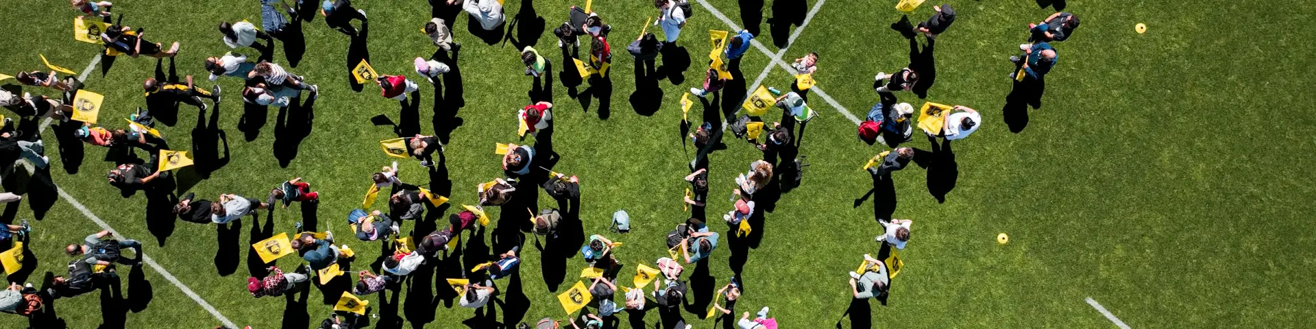 Journée Jaune et Noir - Deflandre