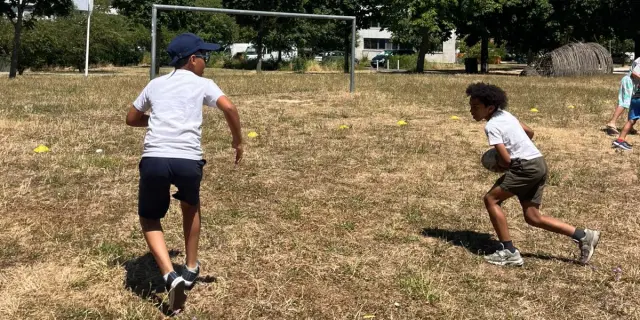 Animation Rugby